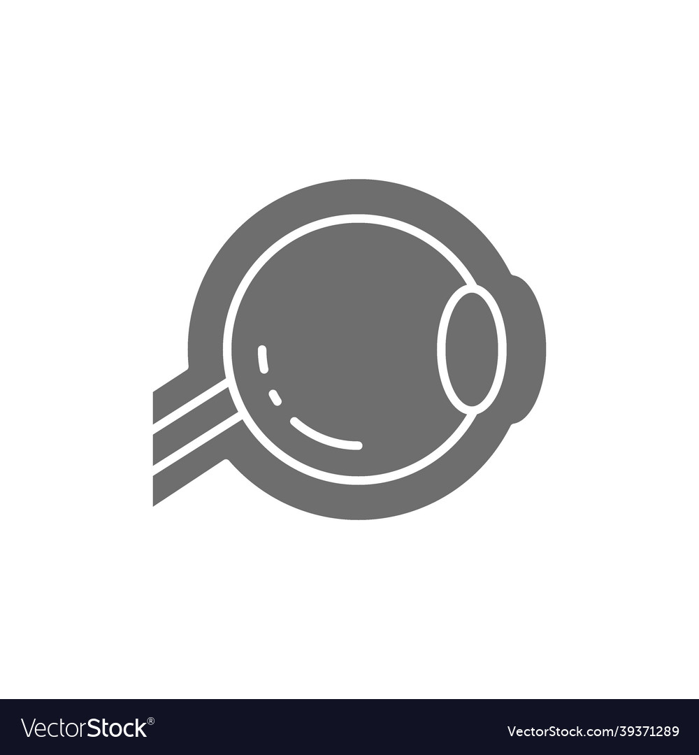 Eyeball optic nerve grey icon isolated on white Vector Image