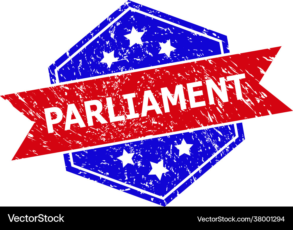 Hexagonal bicolor parliament watermark Royalty Free Vector