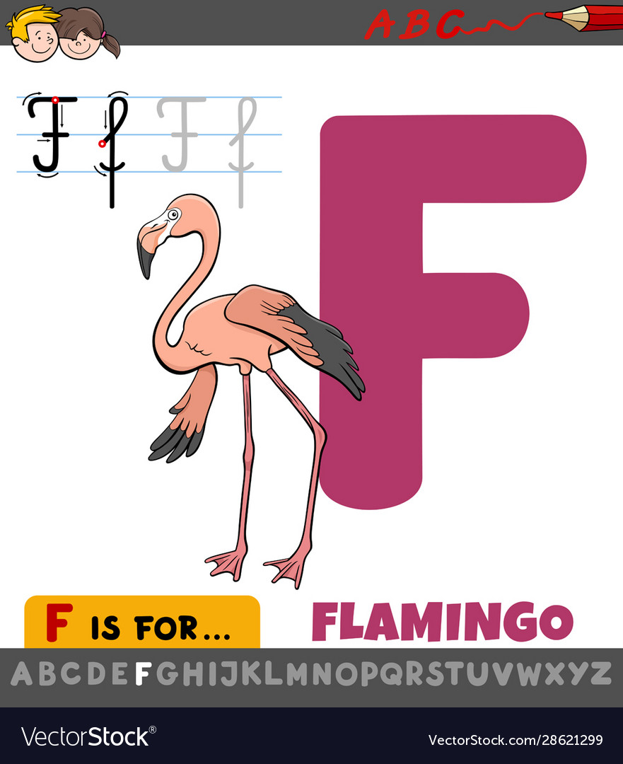 Letter f worksheet with cartoon flamingo bird Vector Image Letter f worksheet with cartoon flamingo bird Vector Image