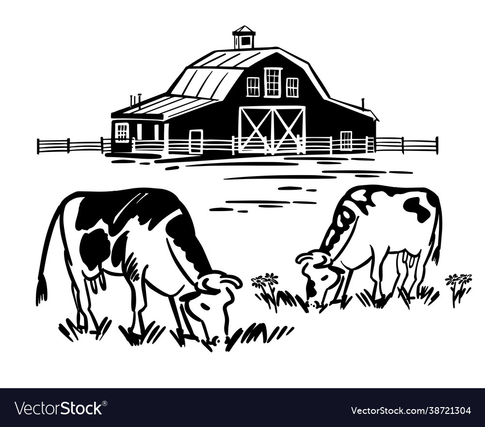 Cows graze eating grass in meadow handmade ranch Vector Image