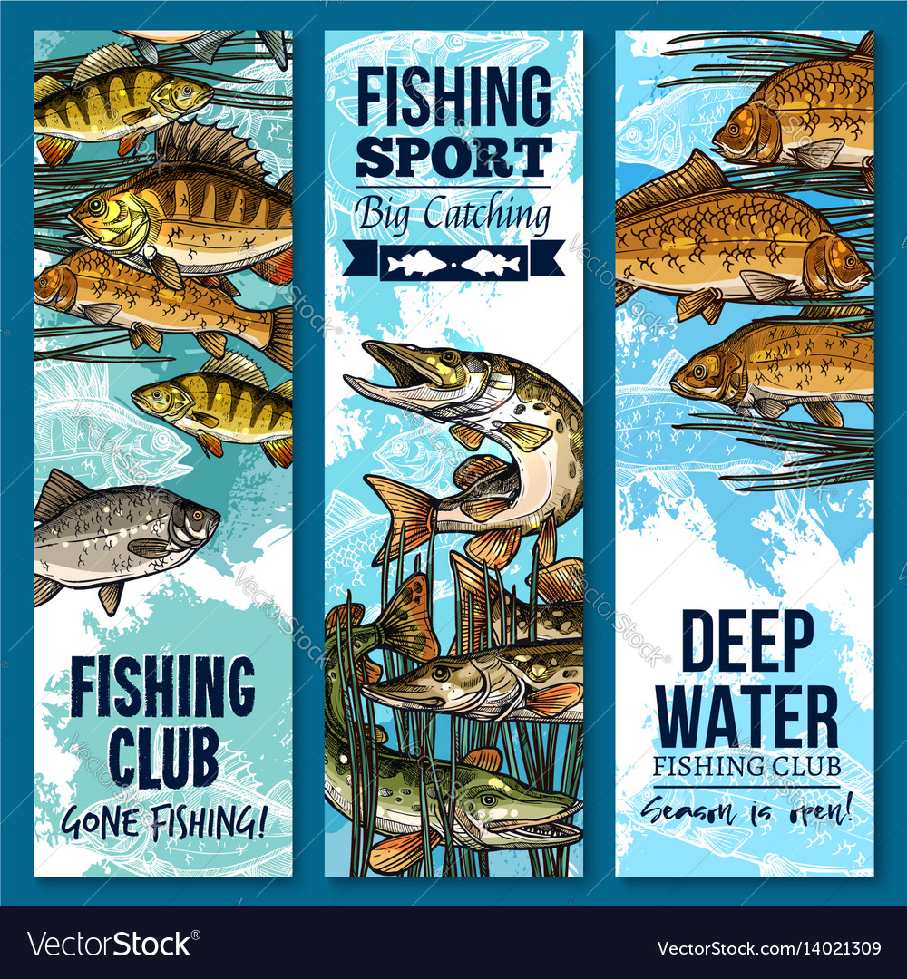 Fishing Sport Club Banner Set With Swimming Fish Vector Image
