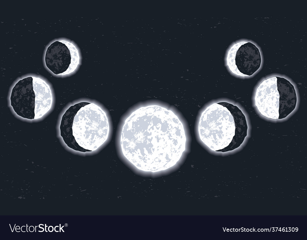 Seven Moon Phases Set Royalty Free Vector Image