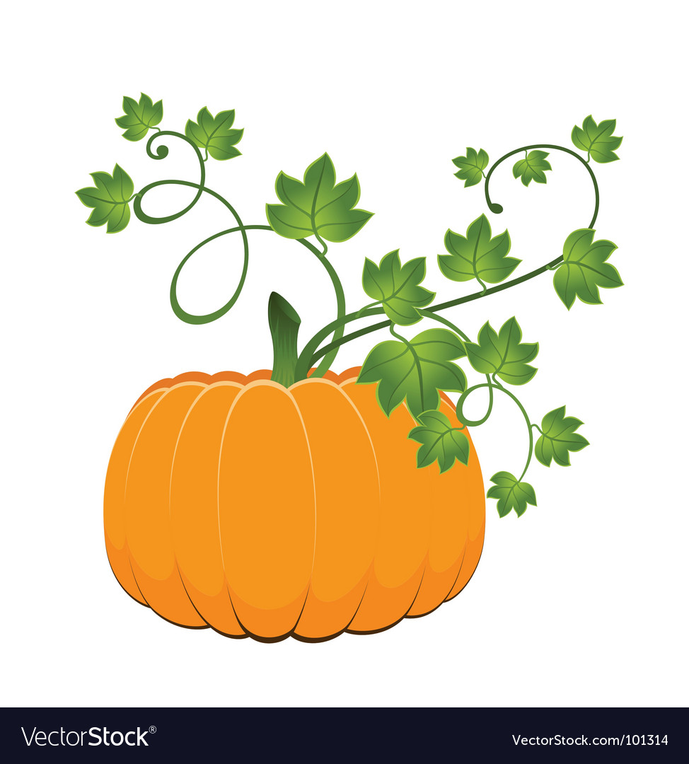 Halloween pumpkin Royalty Free Vector Image - VectorStock