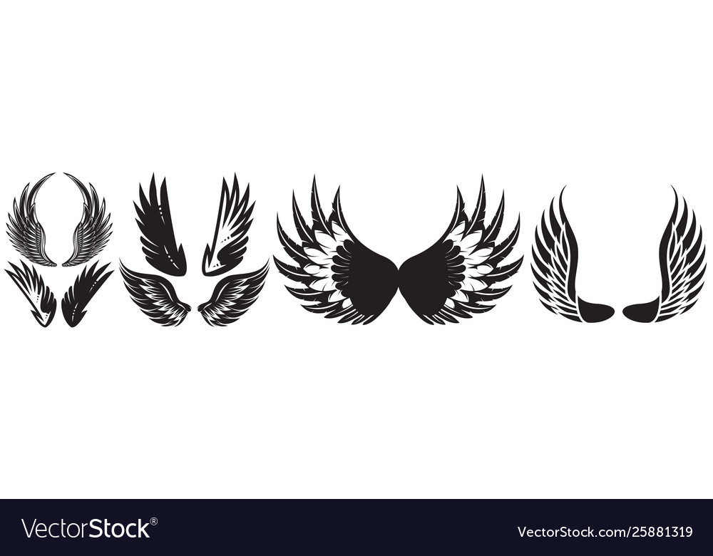 Monochrome set different wings for design