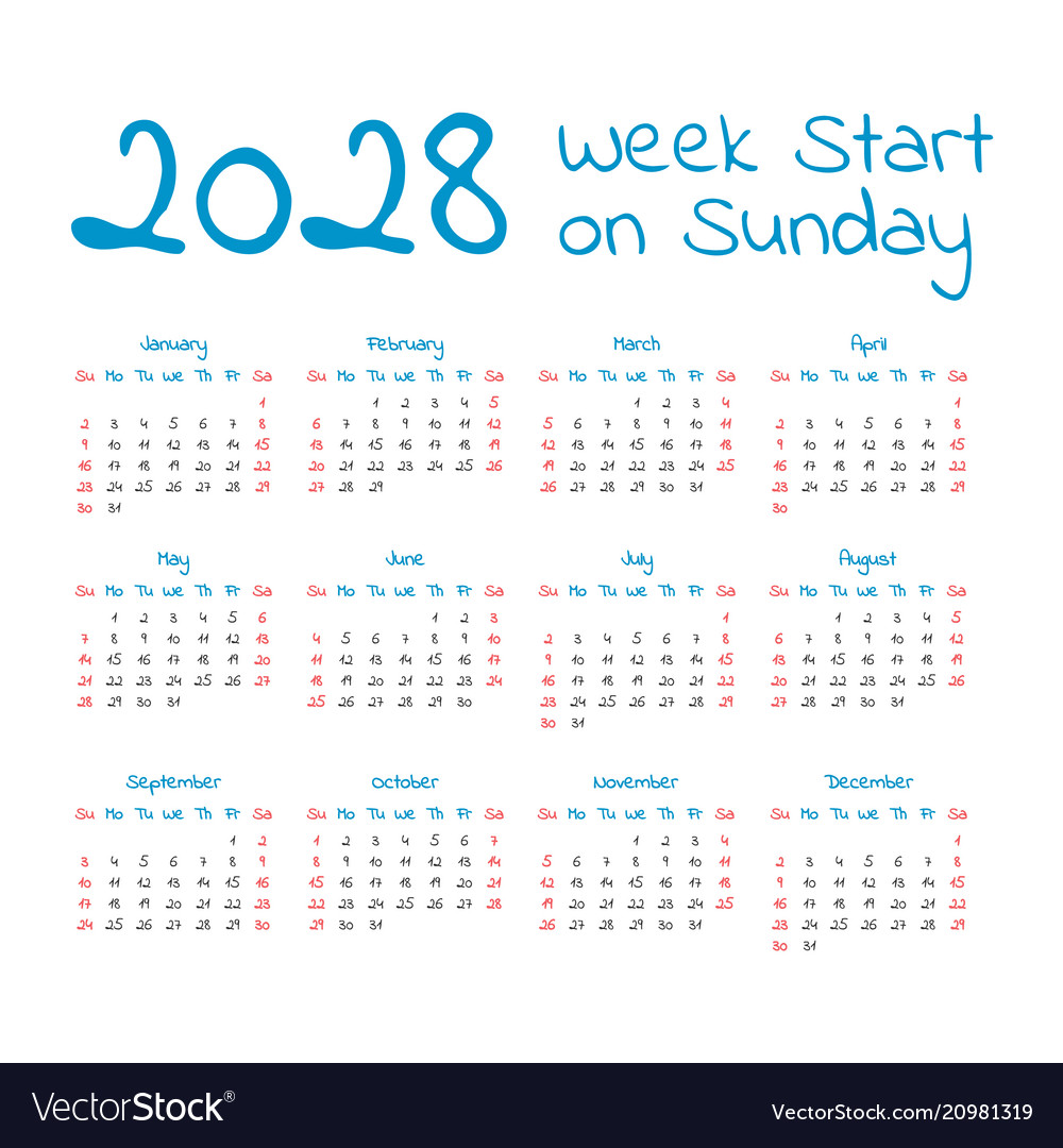 Simple 2028 year calendar vector image