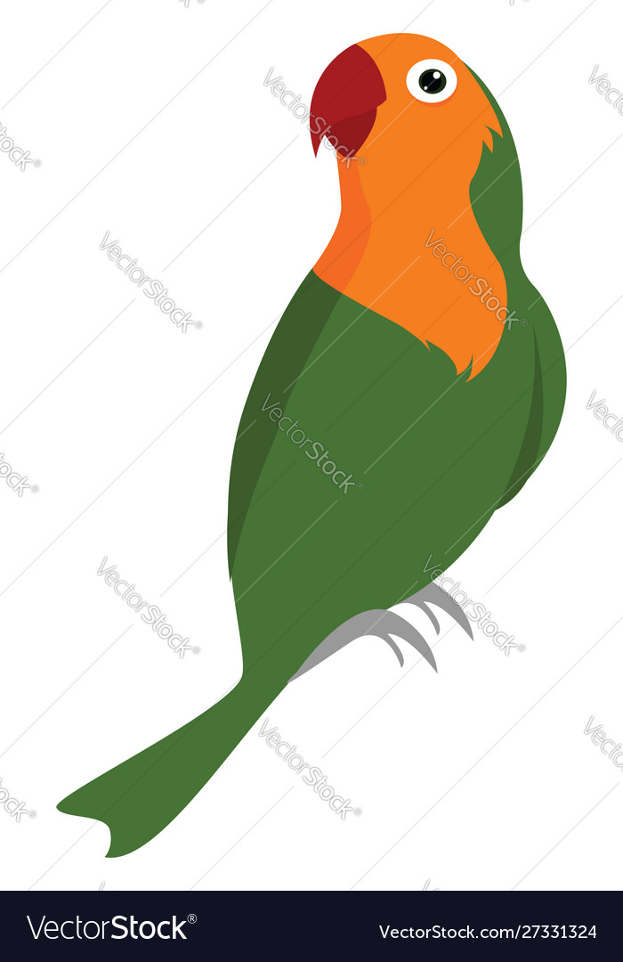Green parrot on white background Royalty Free Vector Image