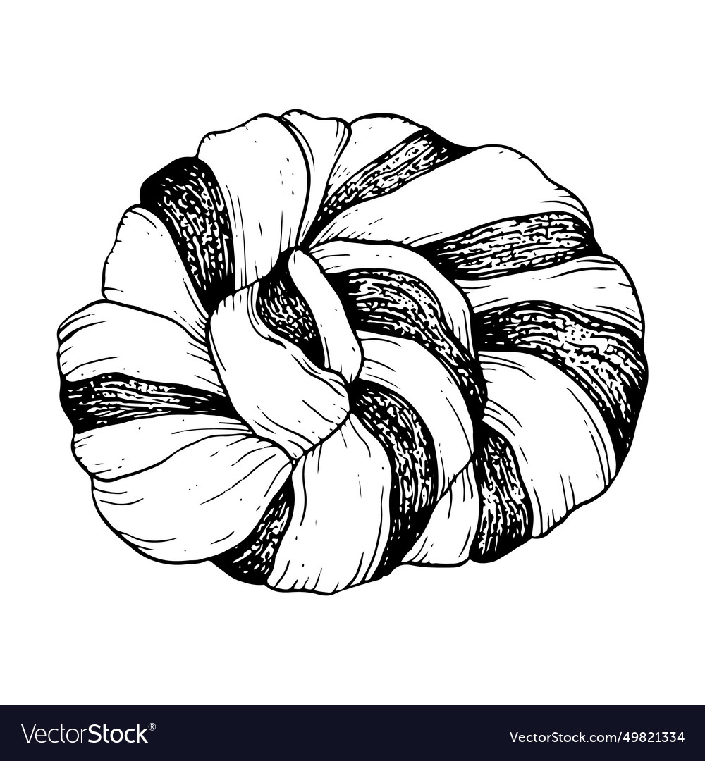 Black white swedish chocolate braided bread bun Vector Image