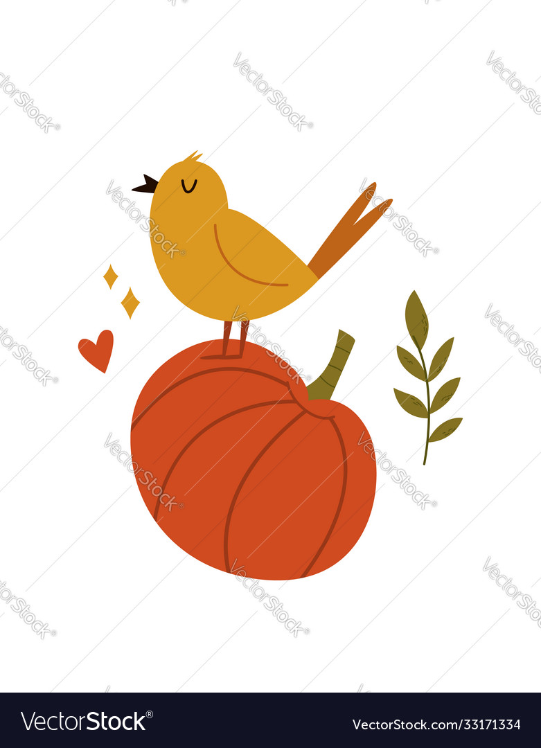 Cute bird singing on a pumpkin autumn vibes vector image Cute bird singing on a pumpkin autumn vibes