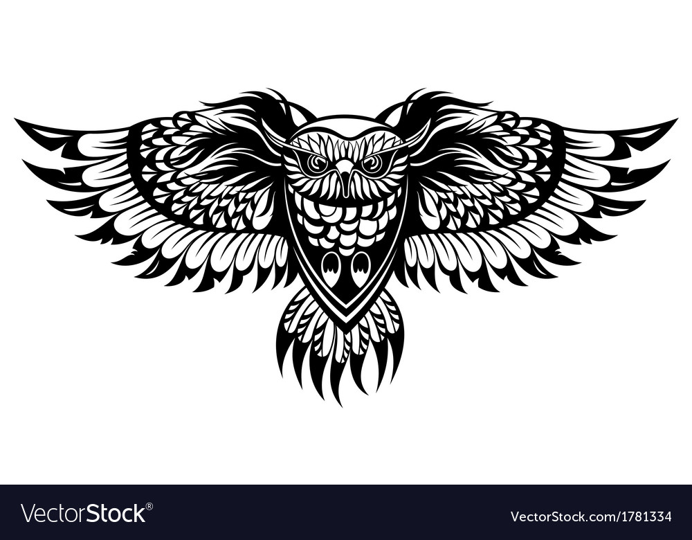 Owl Royalty Free Vector Image - VectorStock