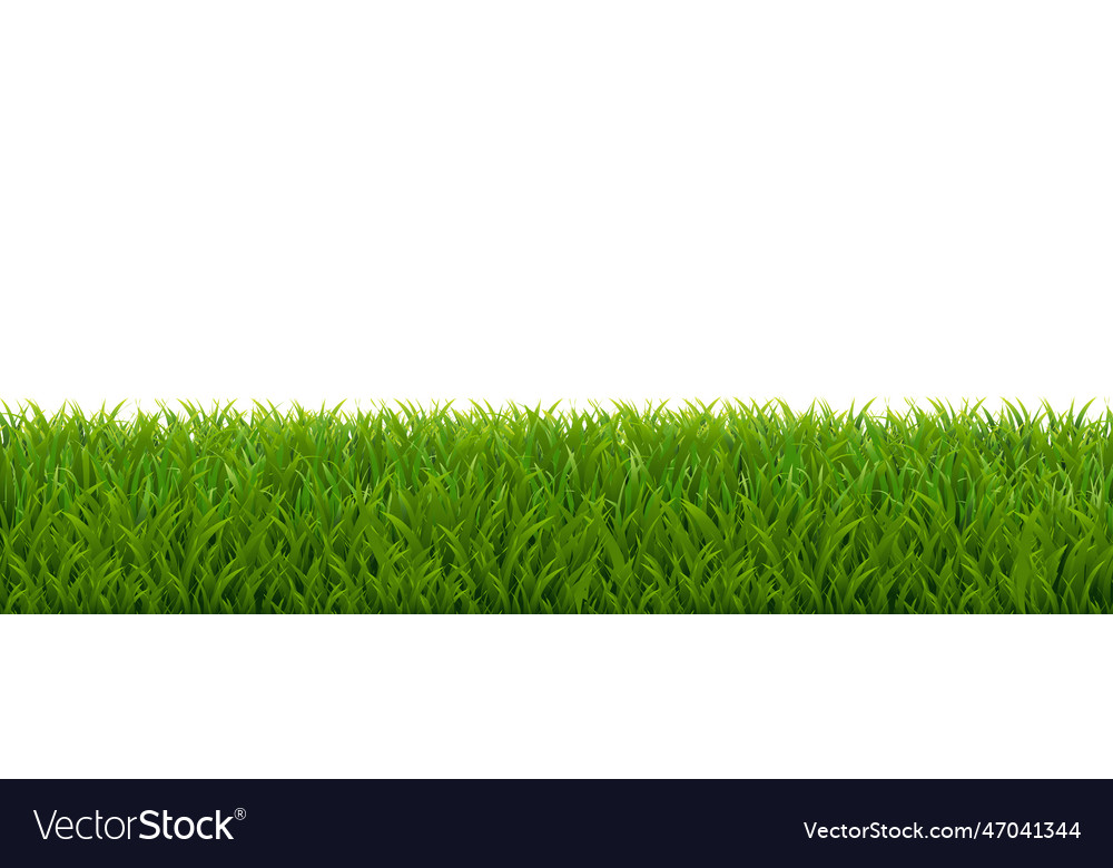 Green grass borders isolated white background Vector Image