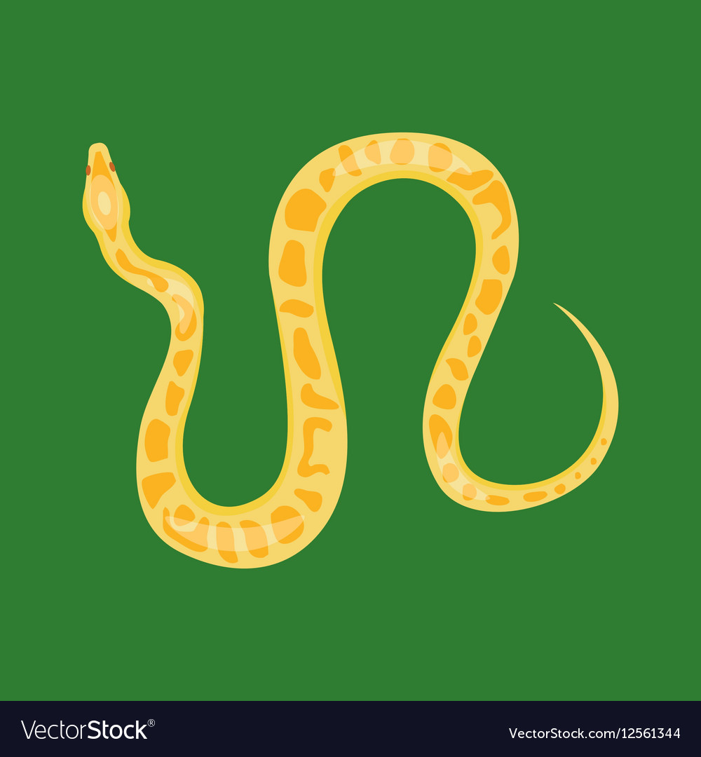 Snake Reptile Cartoon Royalty Free Vector Image