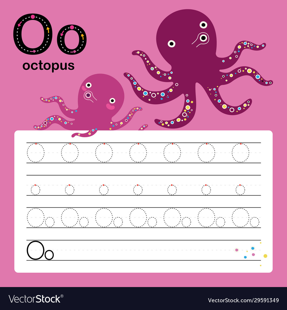 Alphabet o worksheet learning english vocabulary Vector Image