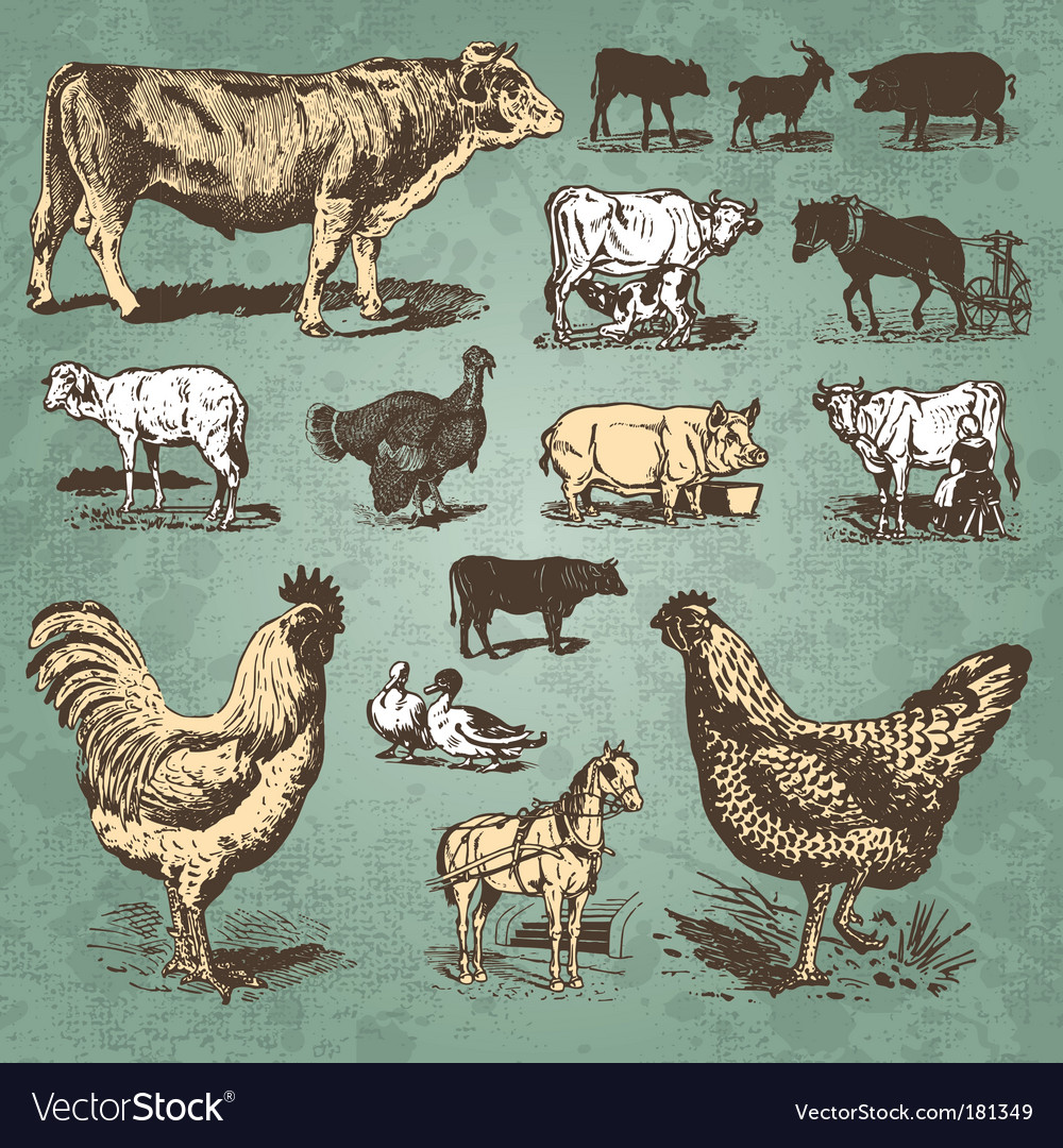 Farm animals vintage set