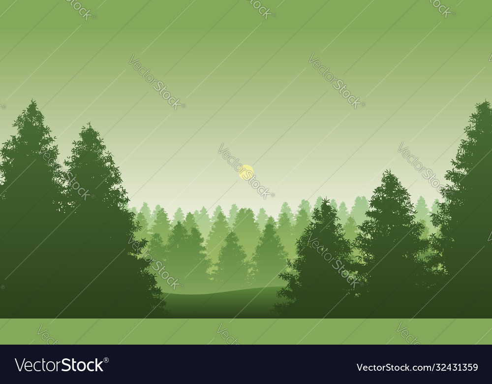 Black forest in germany vector image Black forest in germany