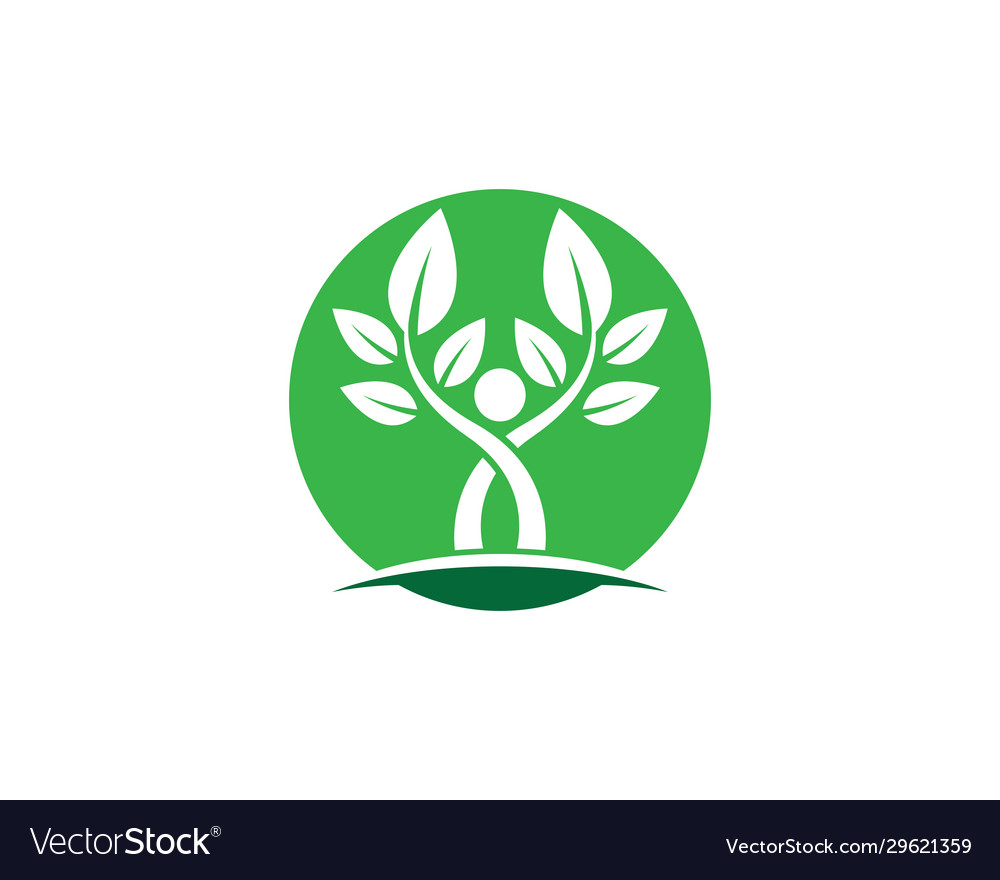 Tree leaf symbol icon Royalty Free Vector Image