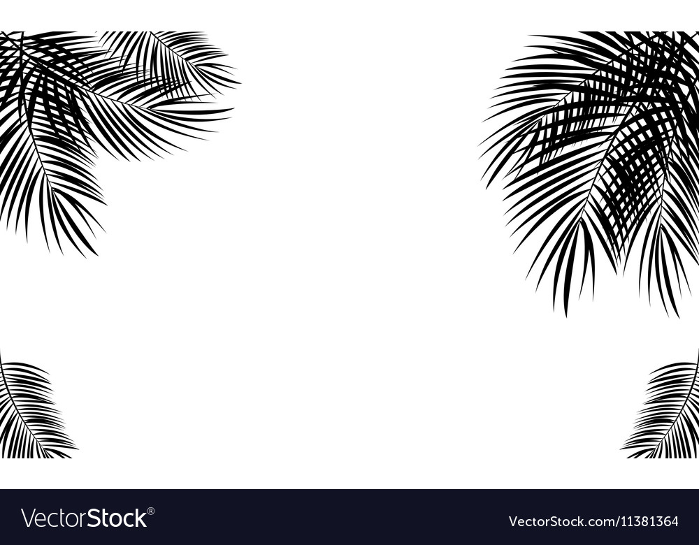 Palm leaf background Royalty Free Vector Image