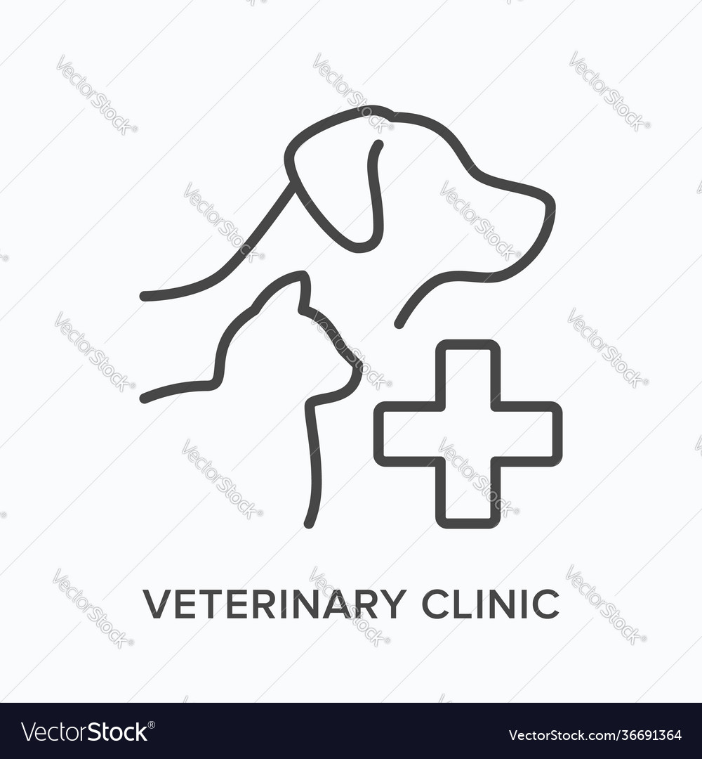 Veterinary Clinic Flat Line Icon Outline Vector 36691364 