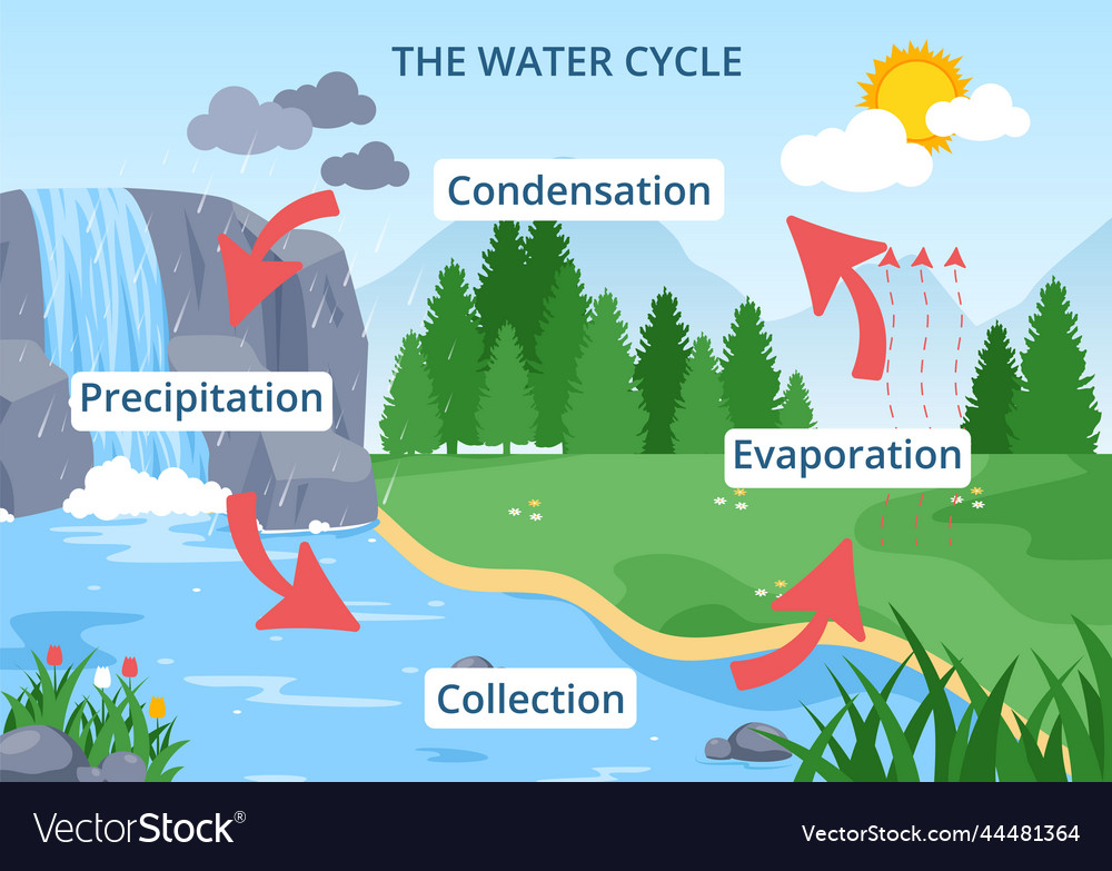 Water cycle of evaporation condensation Royalty Free Vector