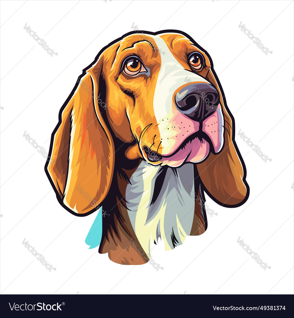 American foxhound dog breed colorful cartoon Vector Image