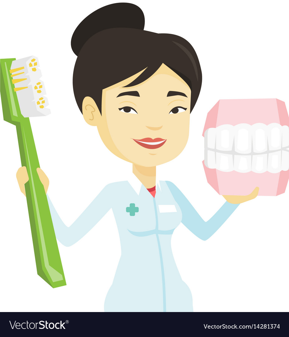 Dentist with dental jaw model and toothbrush Vector Image