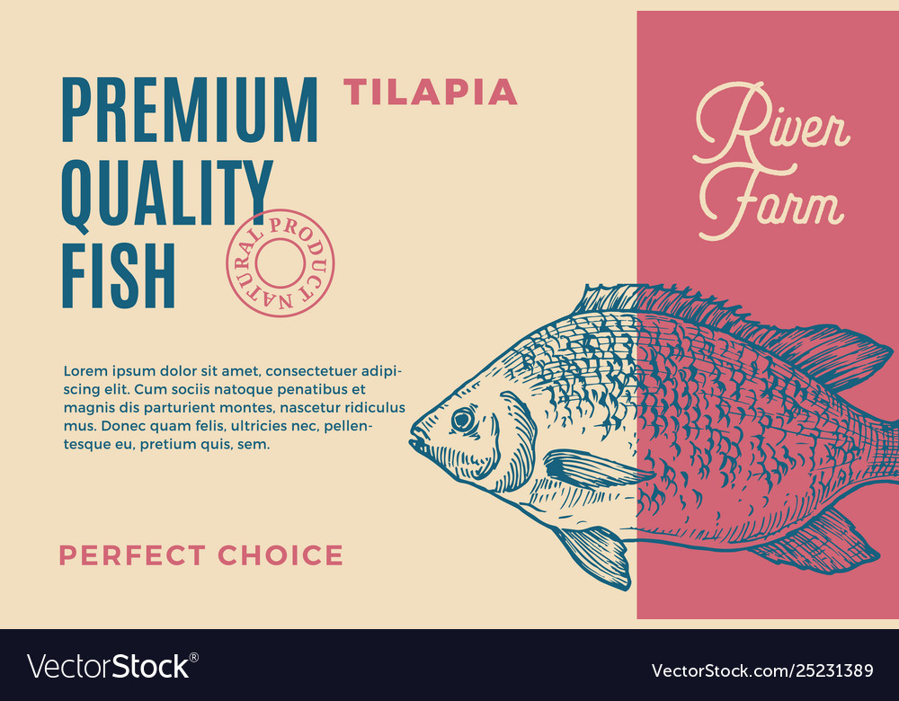 Premium quality tilapia abstract fish Royalty Free Vector