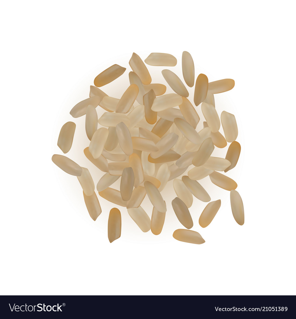 Realistic rice isolated Royalty Free Vector Image