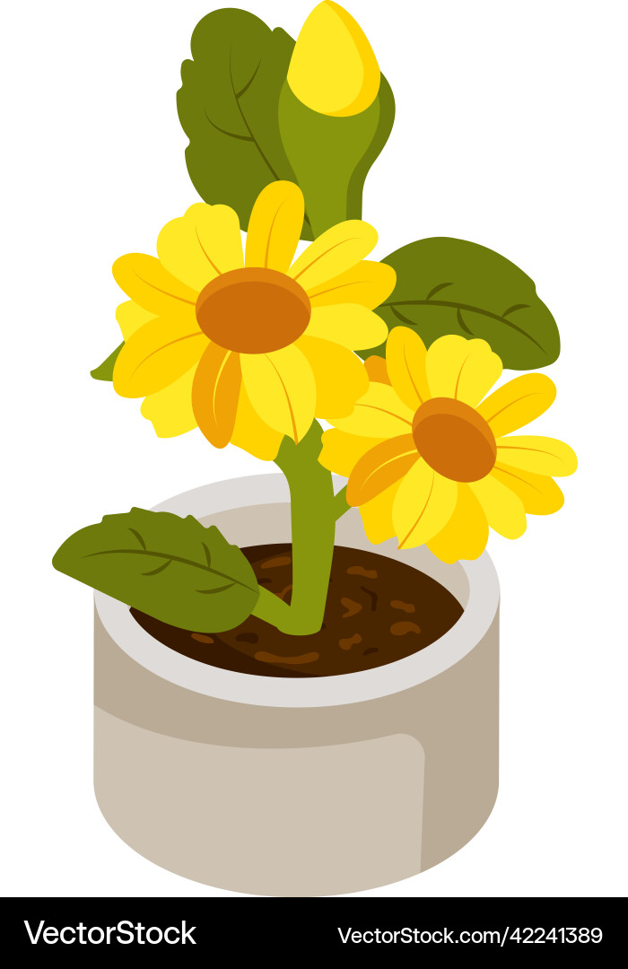 Sunflower pot Royalty Free Vector Image - VectorStock