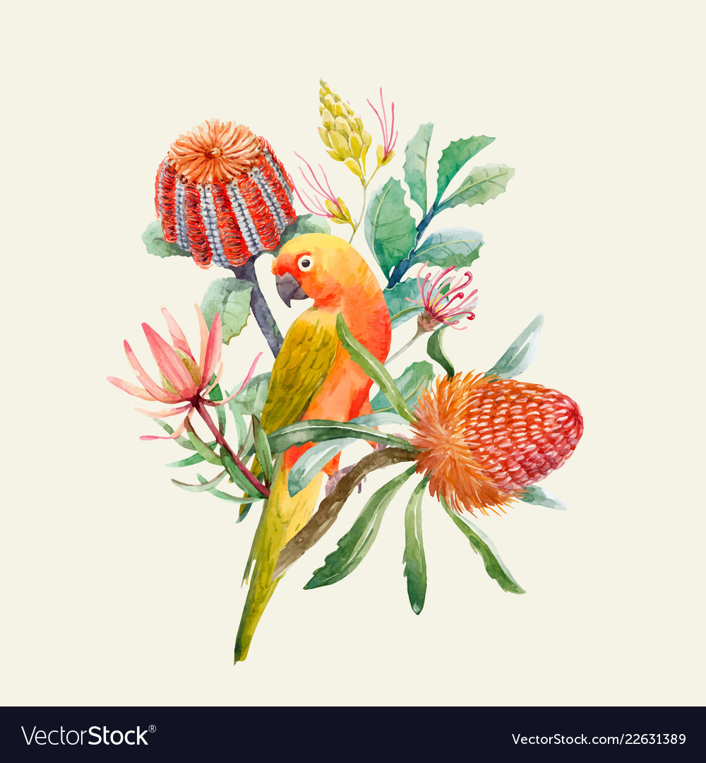 Watercolor tropical parrots composition vector image Watercolor tropical parrots composition