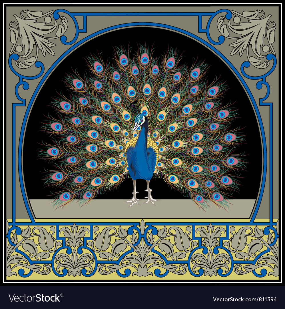 Frame With Peacock Royalty Free Vector Image Vectorstock 0397