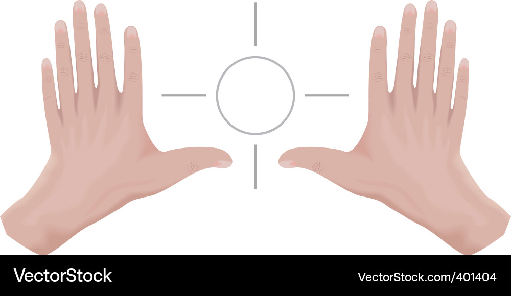 Two hands Royalty Free Vector Image - VectorStock