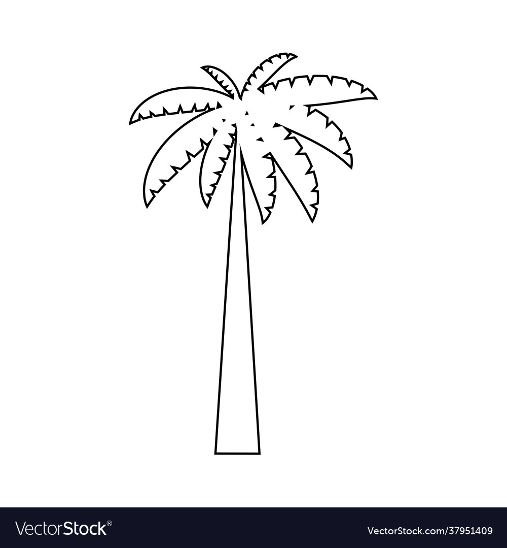 Tropical palm trees black silhouettes and outline Vector Image