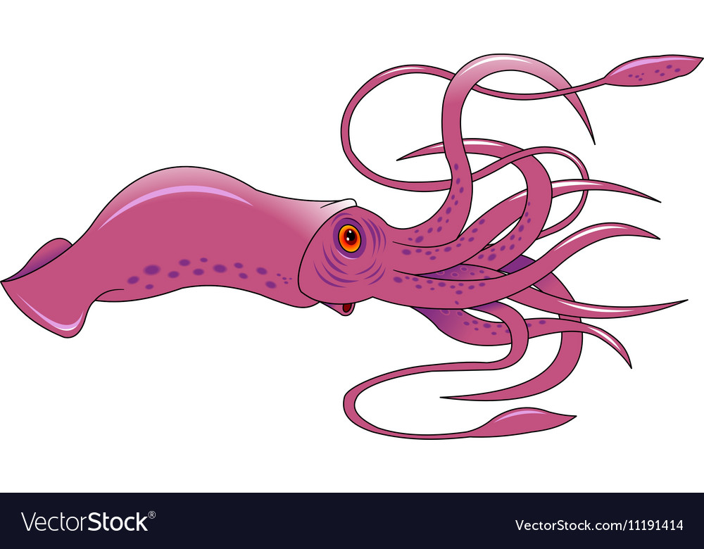 Squid cartoon vector image on VectorStock.