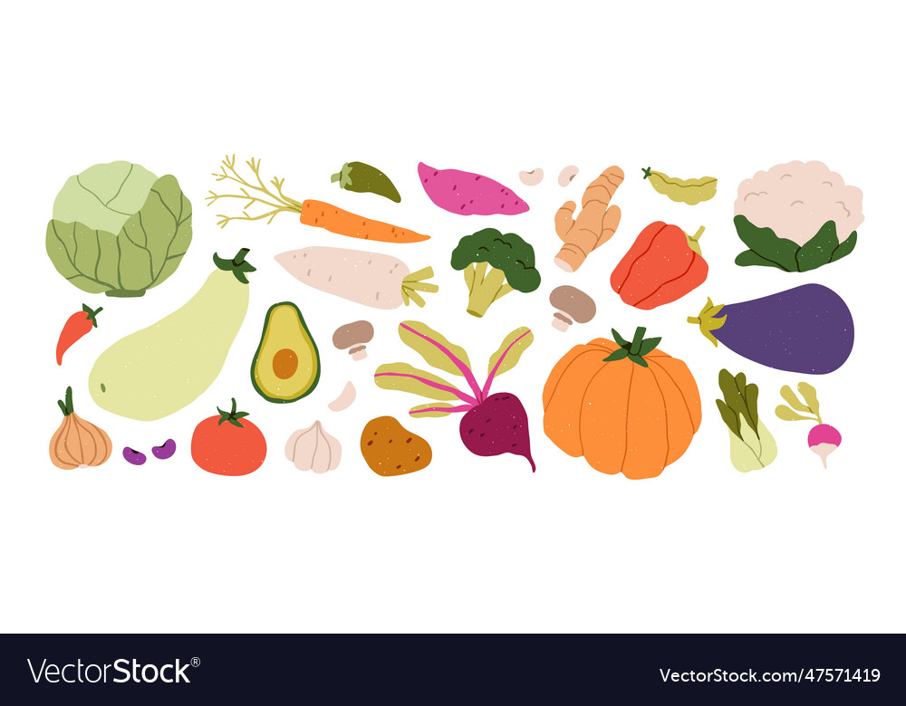 Fresh organic vegetables set natural healthy food Vector Image