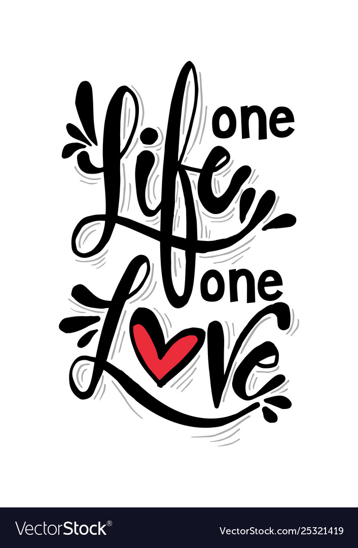 One life love hand lettering calligraphy Vector Image