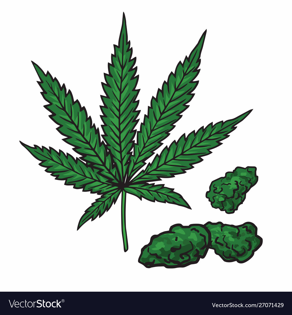 Collection 100+ Images How To Draw Weed Leaf Step By Step Superb