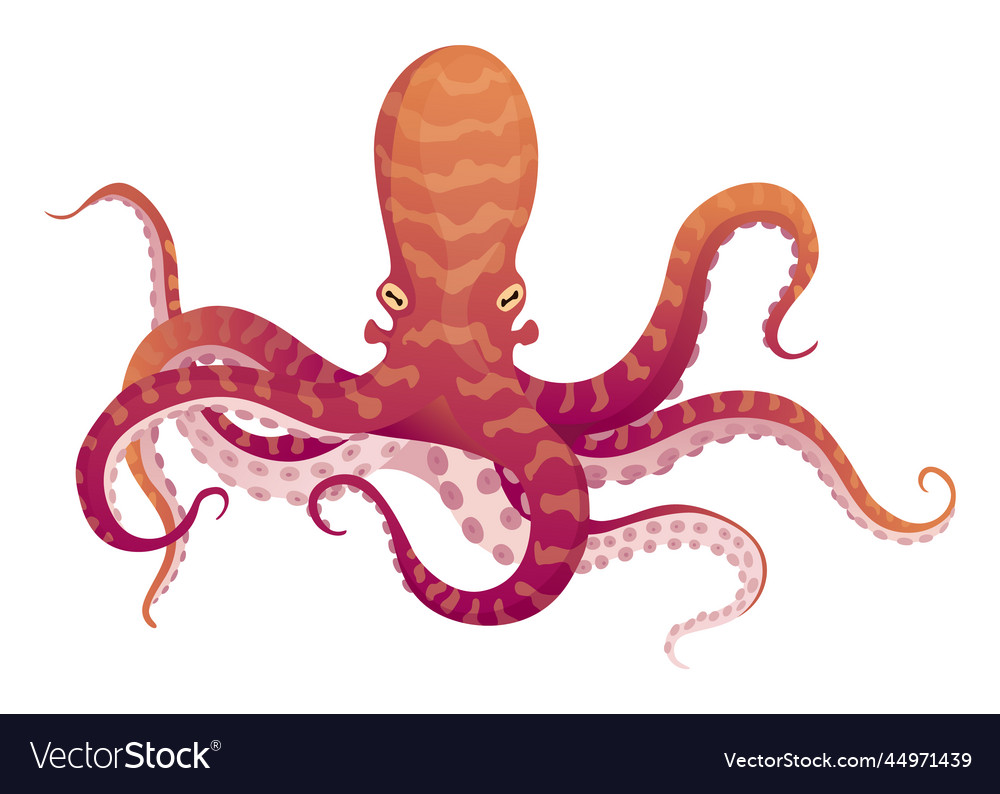 Octopus cartoon flat character with suckers Vector Image