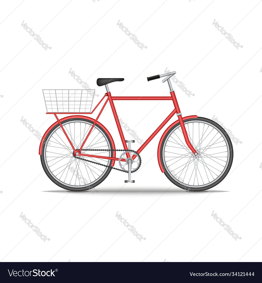 City old bike with a basket on trunk isolated Vector Image