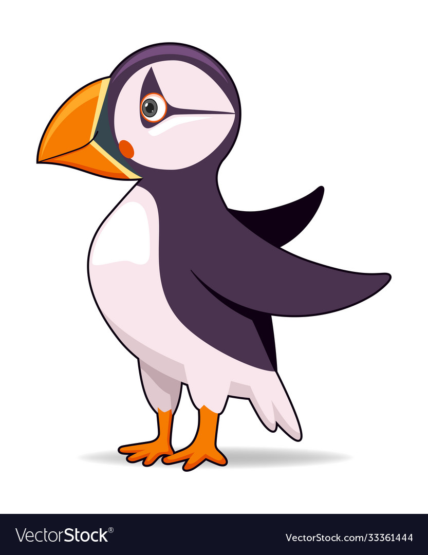 Puffin bird on a white background Royalty Free Vector Image