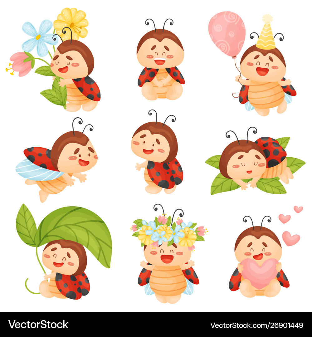 Set cute ladybugs Royalty Free Vector Image - VectorStock
