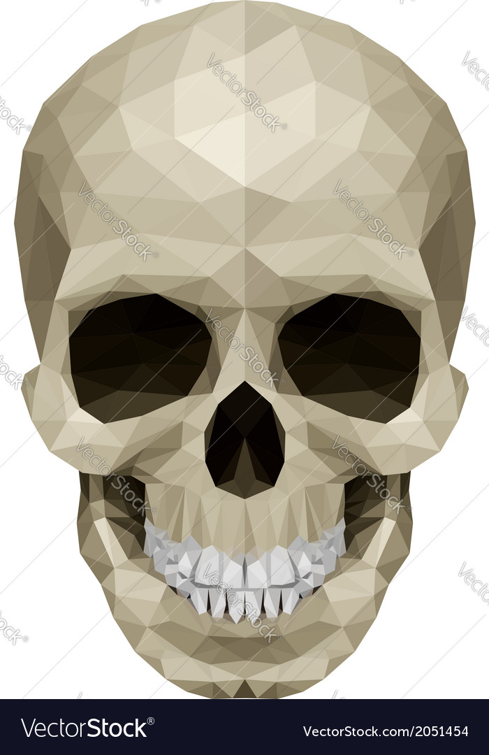 Crystul skull Royalty Free Vector Image - VectorStock