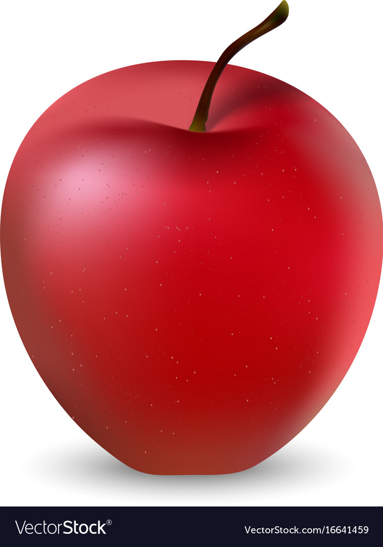 A red apple Royalty Free Vector Image - VectorStock