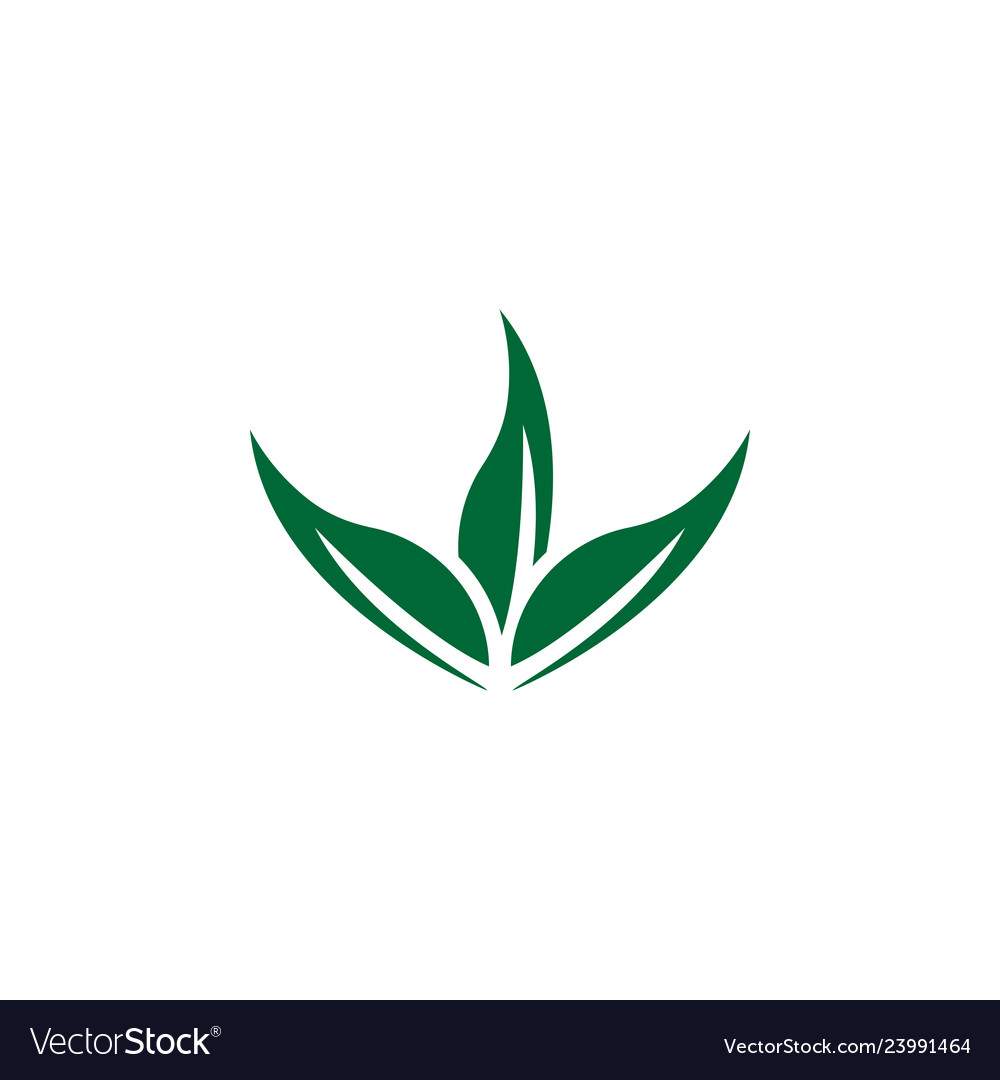 Leaf icon design template isolated