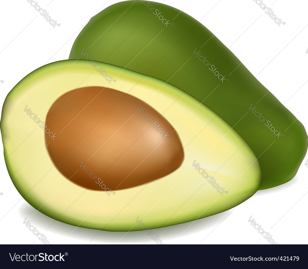 Download Avocado Royalty Free Vector Image - VectorStock