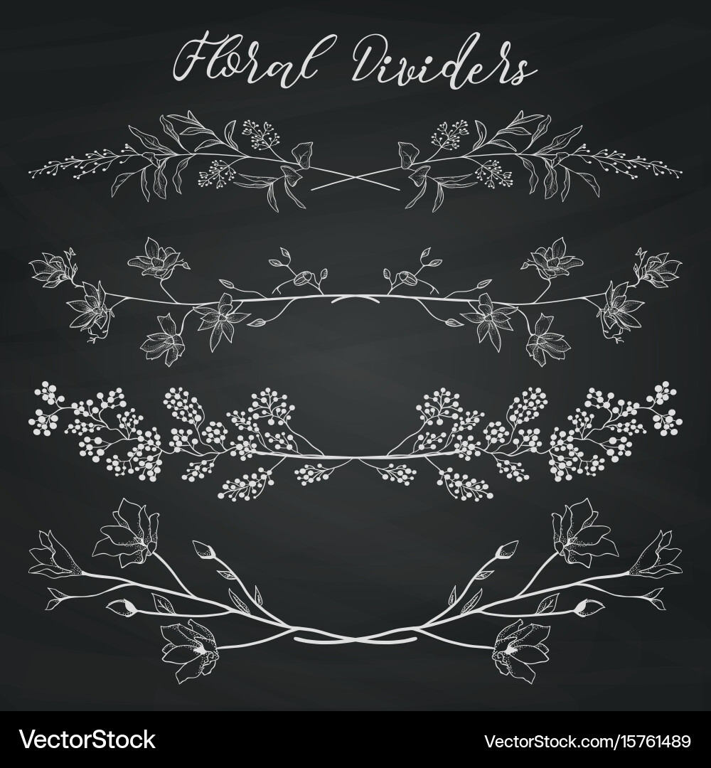 Chalk drawing dividers with branches plants and Vector Image