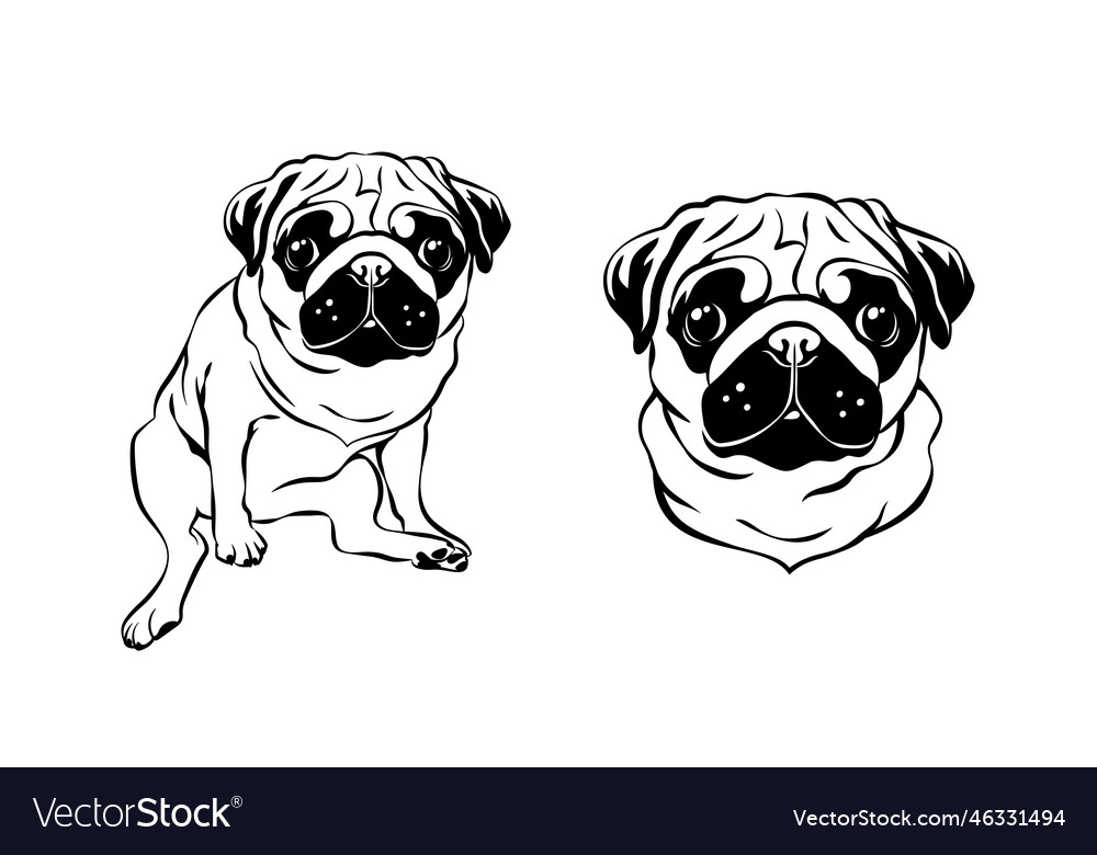 pug line art