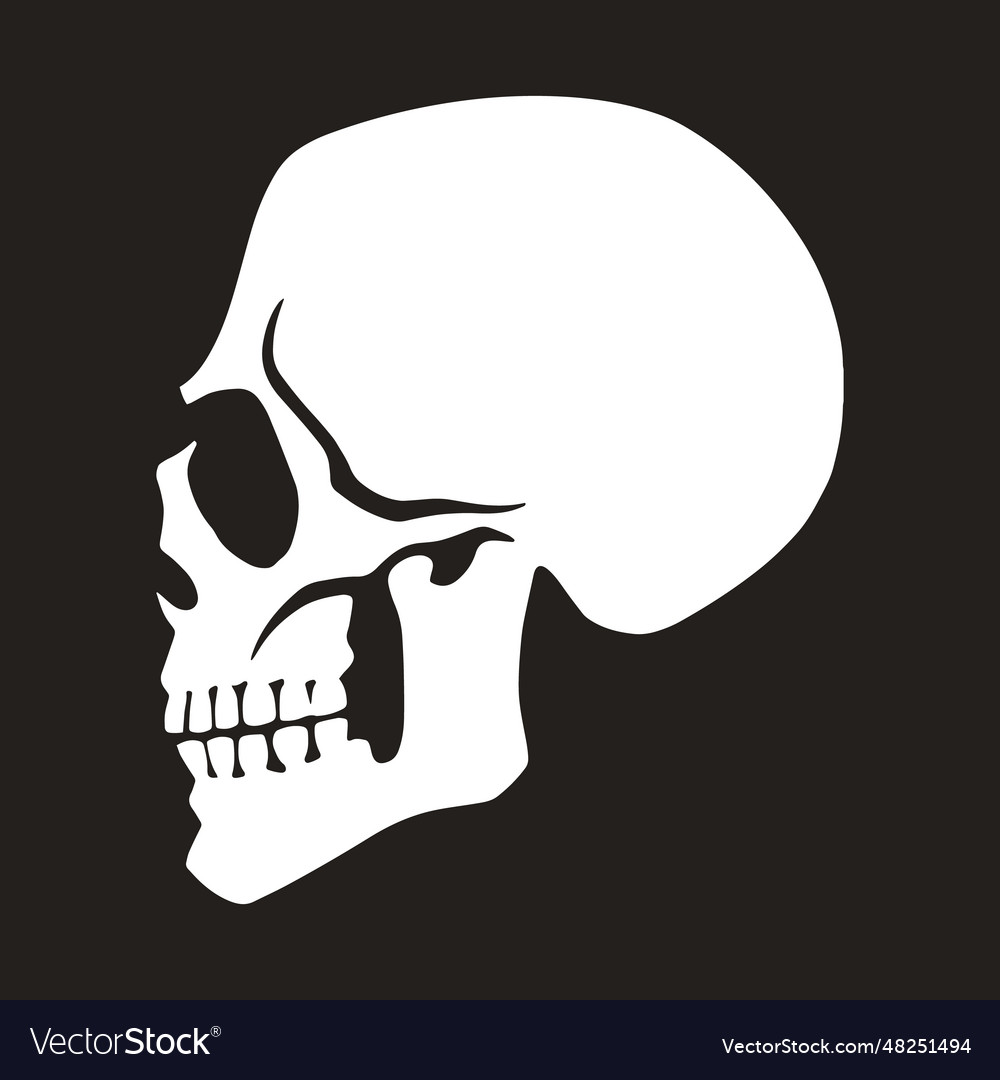 Dead man skull monochrome sticker Royalty Free Vector Image