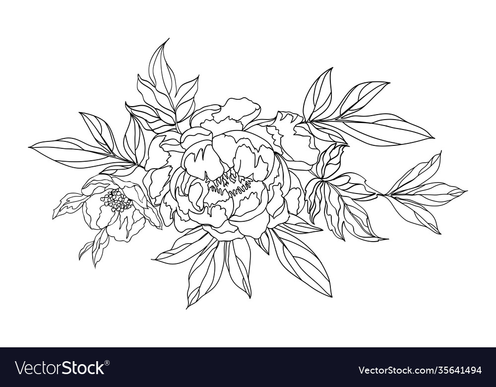 Floral composition Royalty Free Vector Image - VectorStock