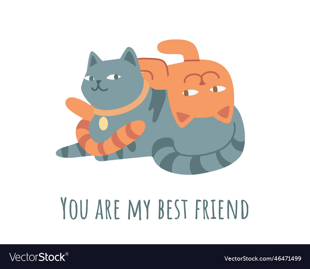 Cats Friends Concept Royalty Free Vector Image Cats Friends Concept Royalty Free Vector Image
