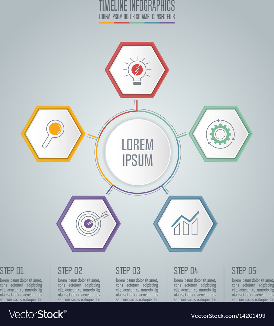 Timeline infographic concept with 5 options Vector Image