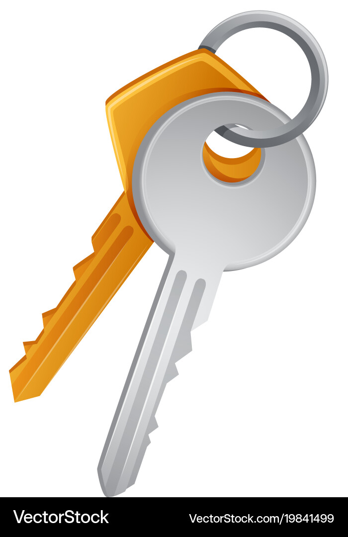 Two keys in ring Royalty Free Vector Image - VectorStock